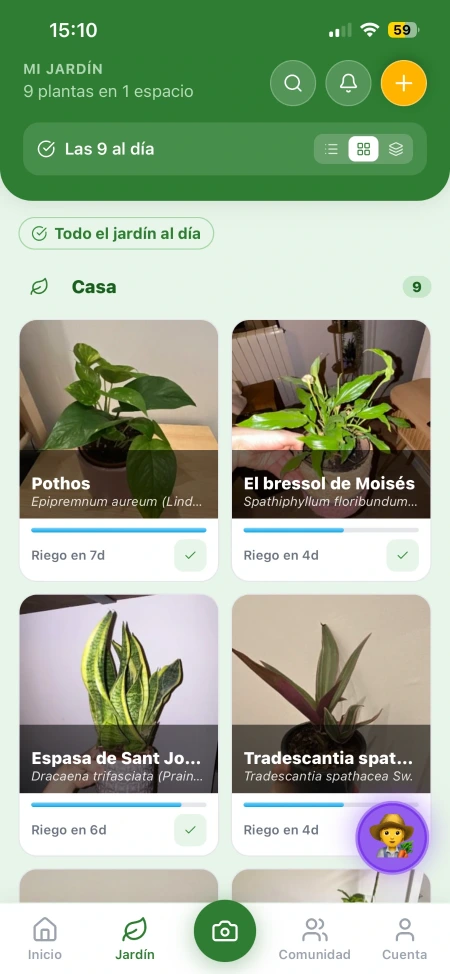 El meu jardí